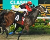 Maurice Utrillo gets the better of Dujardin in the final stages.<br>Photo by Singapore Turf Club